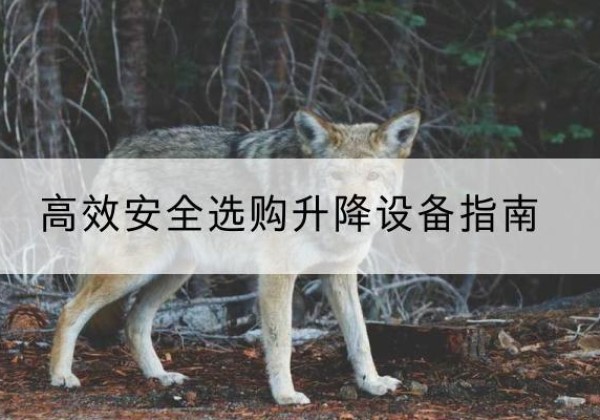 五华升降货梯厂家推荐-*安全选购升降设备指南